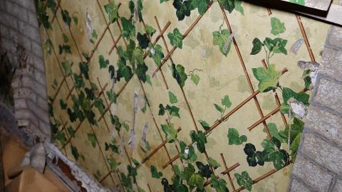 No Airplanes Nov '20 - DSC09106.JPG