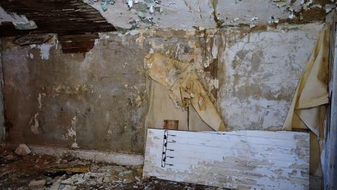 No Airplanes Nov '20 - DSC09120.JPG