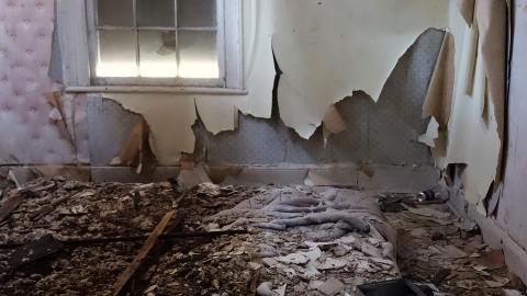 No Airplanes Nov '20 - DSC09127.JPG