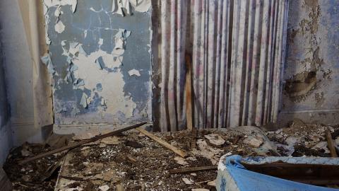 No Airplanes Nov '20 - DSC09142.JPG