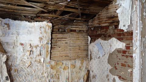 No Airplanes Nov '20 - DSC09143.JPG