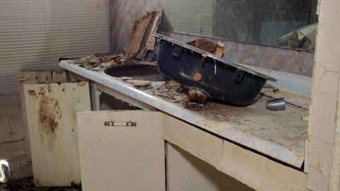 No Airplanes Nov '20 - DSC09146.JPG