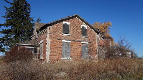 No Airplanes Nov '20 - DSC09167.JPG