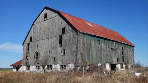 No Airplanes Nov '20 - DSC09183.JPG