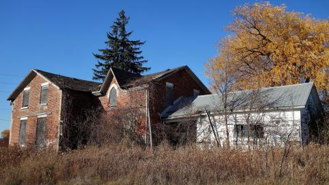 No Airplanes Nov '20 - DSC09191.JPG