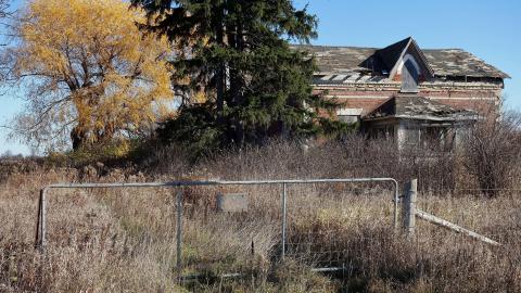 No Airplanes Nov '20 - DSC09203.JPG