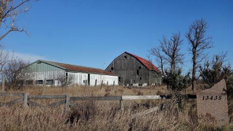 No Airplanes Nov '20 - DSC09205.JPG