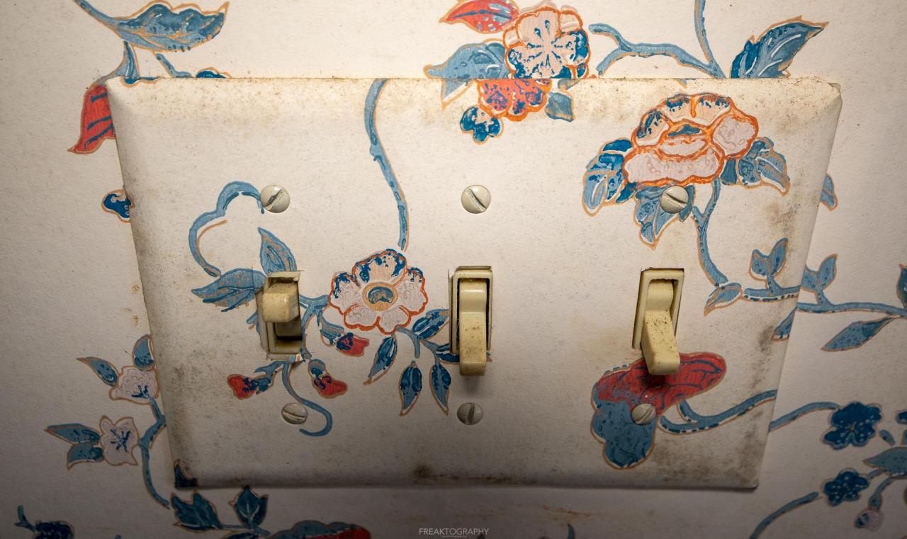 Jan 2021 - abandoned octagon house (18 of 21).jpg