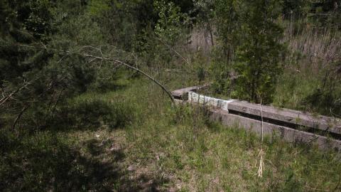 A Bit Worse - IMG_9944.JPG