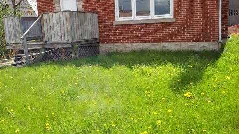 Obliviously Unaware photo 5