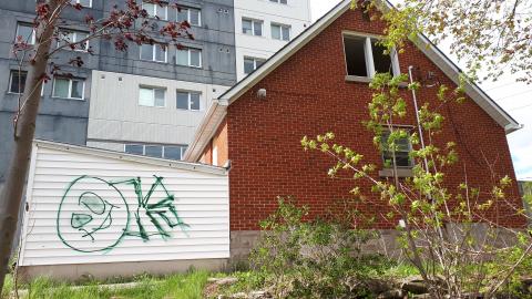 Smells like crap - 20210508_160658.jpg