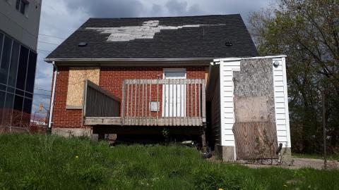 Obliviously Unaware photo 4