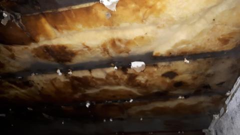 Smells like crap - 20210508_145302.jpg