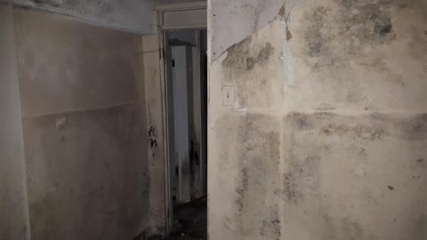 Obliviously Unaware photo 3