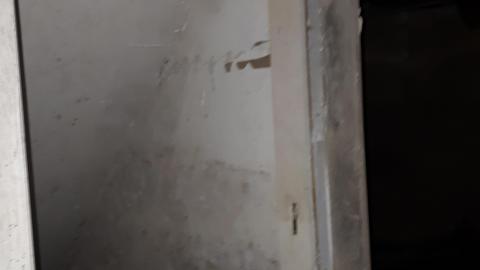 Smells like crap - 20210508_144733.jpg