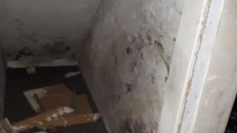 Smells like crap - 20210508_144725.jpg