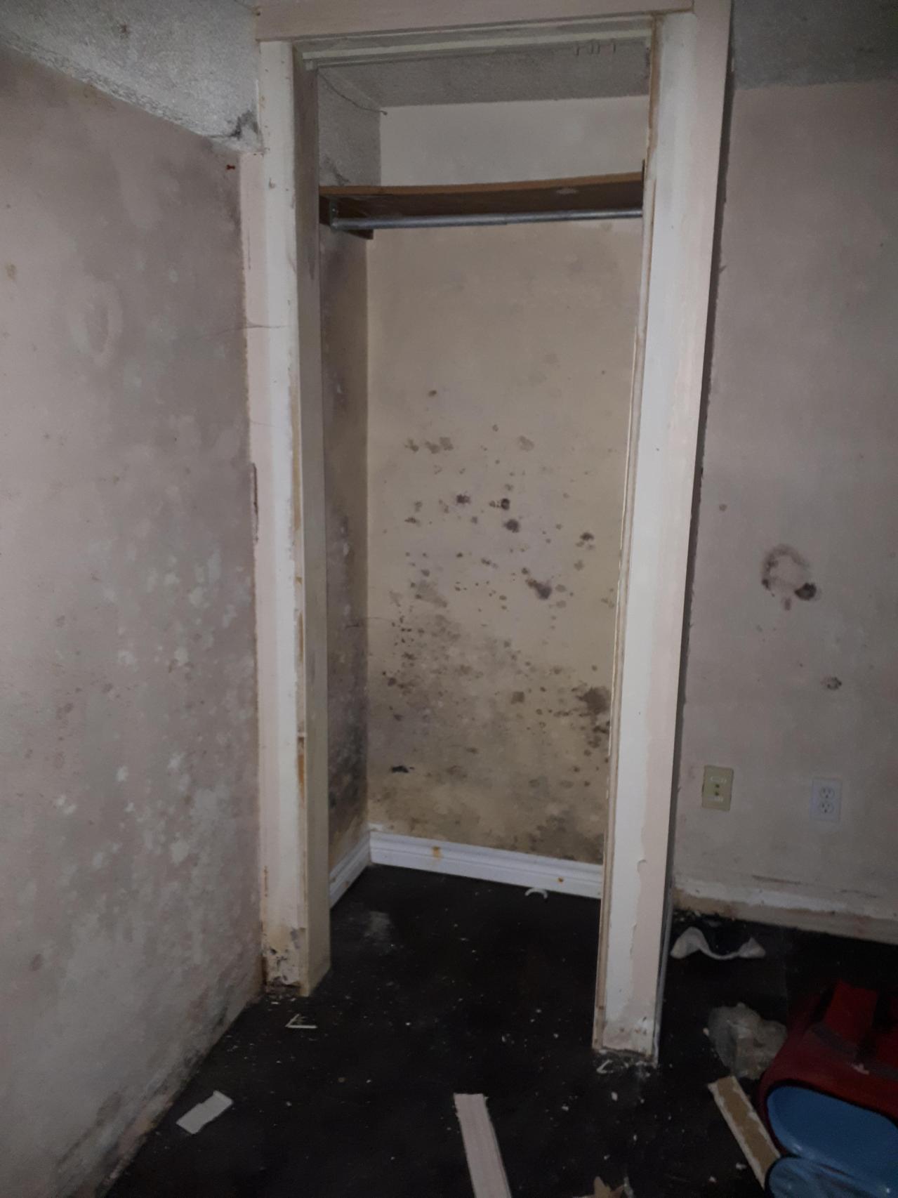 Smells like crap - 20210508_144553.jpg