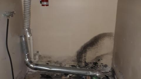 Smells like crap - 20210508_144534.jpg