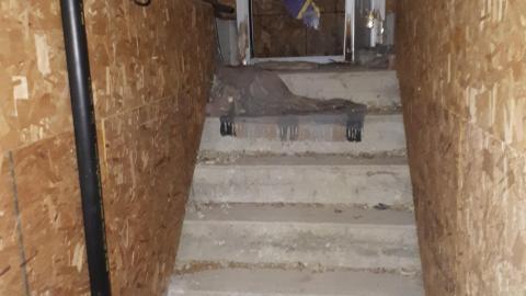 Smells like crap - 20210508_144439.jpg