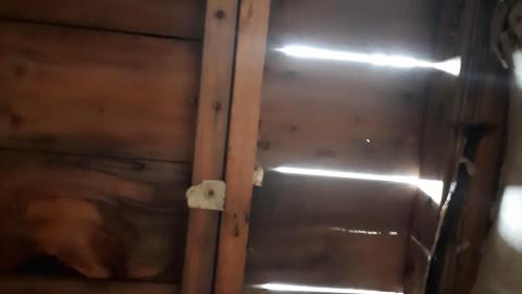 Smells like crap - 20210508_142933.jpg