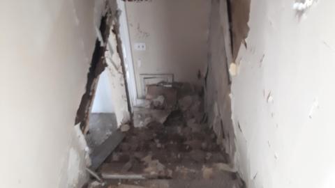 Smells like crap - 20210508_142705.jpg