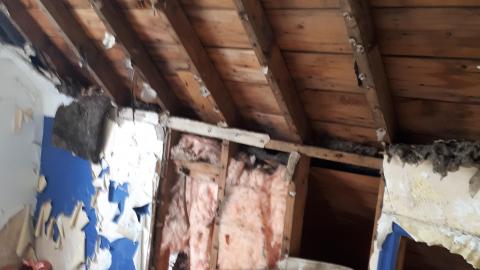 Smells like crap - 20210508_142542.jpg