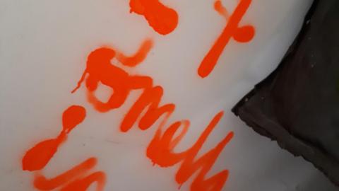 Smells like crap - 20210508_142506.jpg