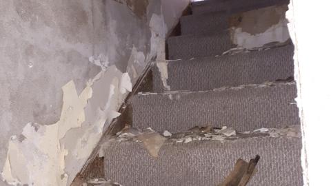 Smells like crap - 20210508_141911.jpg