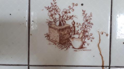 Smells like crap - 20210508_141753.jpg