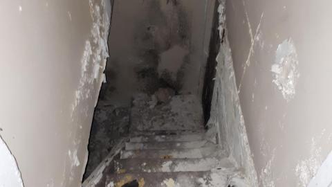 Smells like crap - 20210508_141548.jpg