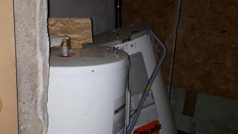 Smells like crap - 20210508_132603.jpg