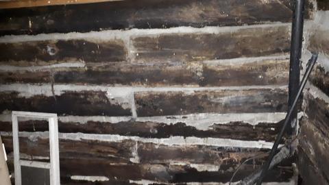 Smells like crap - 20210508_132528.jpg