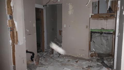 Smells like crap - 20210508_132452.jpg