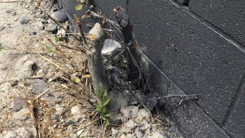 Sealed shut - AE94141E-2C99-4450-9632-3D2E67B2A4FA.jpeg