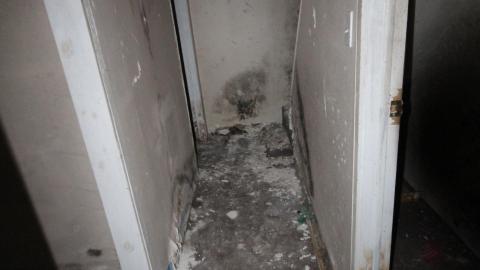 Photo from Sewage Pie