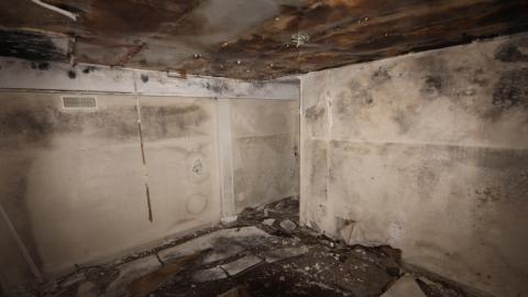 Sewage Pie - IMG_1989.JPG