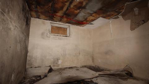 Sewage Pie - IMG_1987.JPG