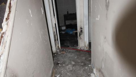 Sewage Pie - IMG_1980.JPG