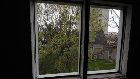 Sewage Pie - IMG_1968.JPG