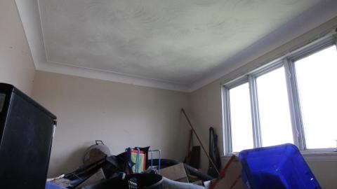 Sewage Pie - IMG_1953.JPG