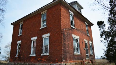 Soft Driveway - April 2014 - DSC_0323.jpg