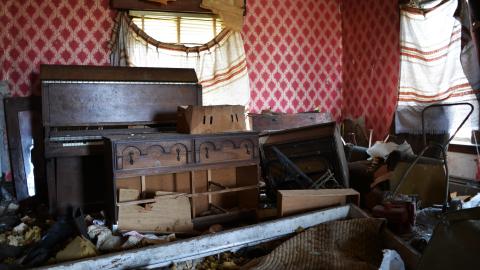 Soft Driveway - April 2014 - DSC_0290.jpg