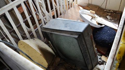 Soft Driveway - April 2014 - DSC_0311.jpg