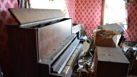 Soft Driveway - April 2014 - DSC_0313.jpg