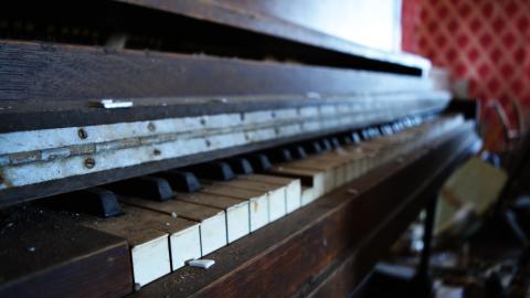 Soft Driveway - April 2014 - DSC_0314.jpg