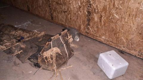 Photo from 4/28/2021