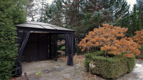 Beer Labels Mansion Nov '20 - DSC09754.JPG