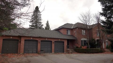 $5.5 Million Dollar 1990's Paradise cover photo