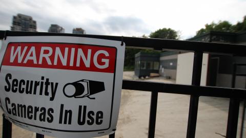 Lions Dont Splash Here... photo 3