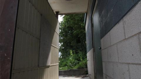 Lions Dont Splash Here... - Waterloo, Ontario